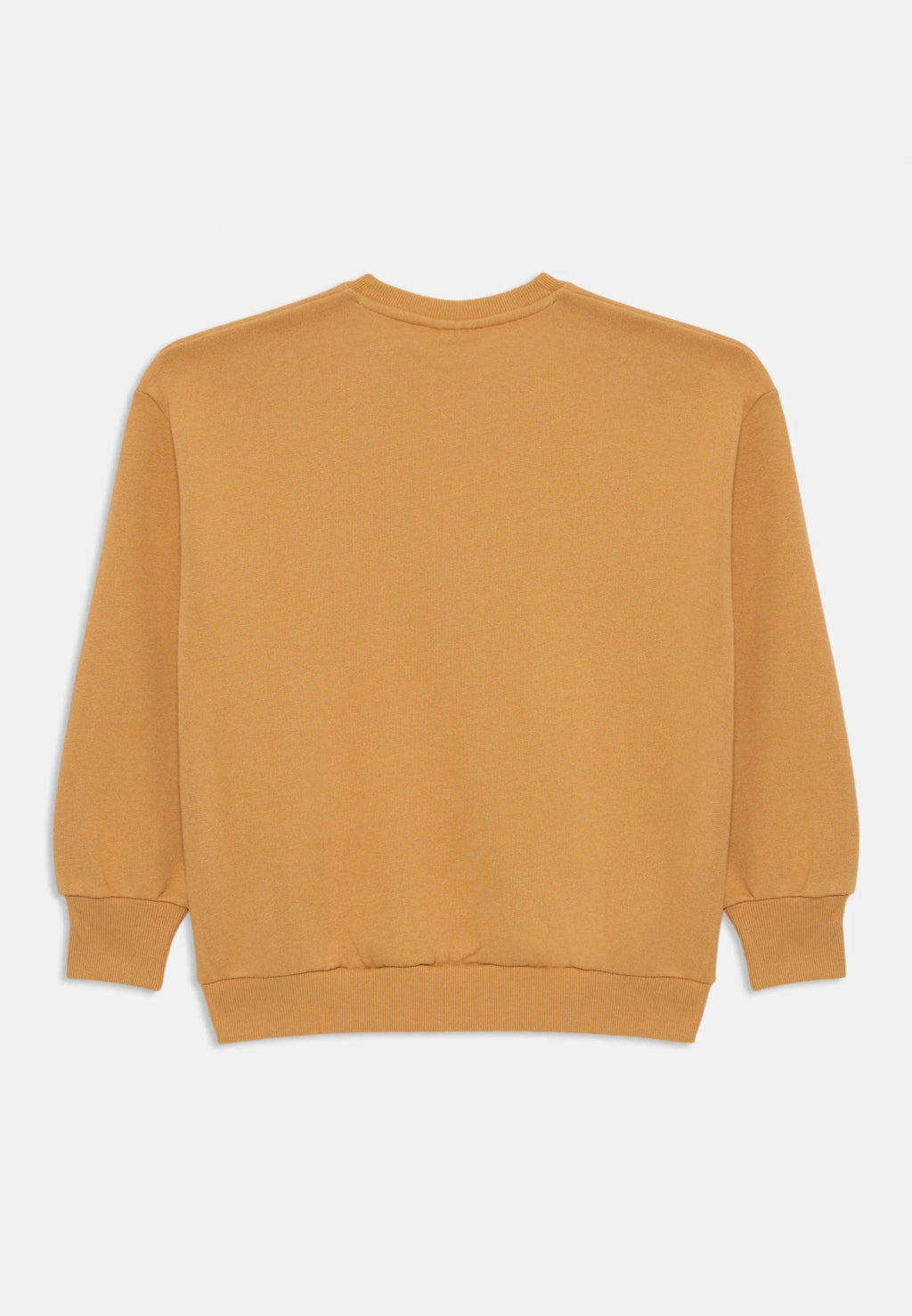 FELPA BEIGE CON DINOSAURO ROSSO MINI RODINI - Angel Luxury