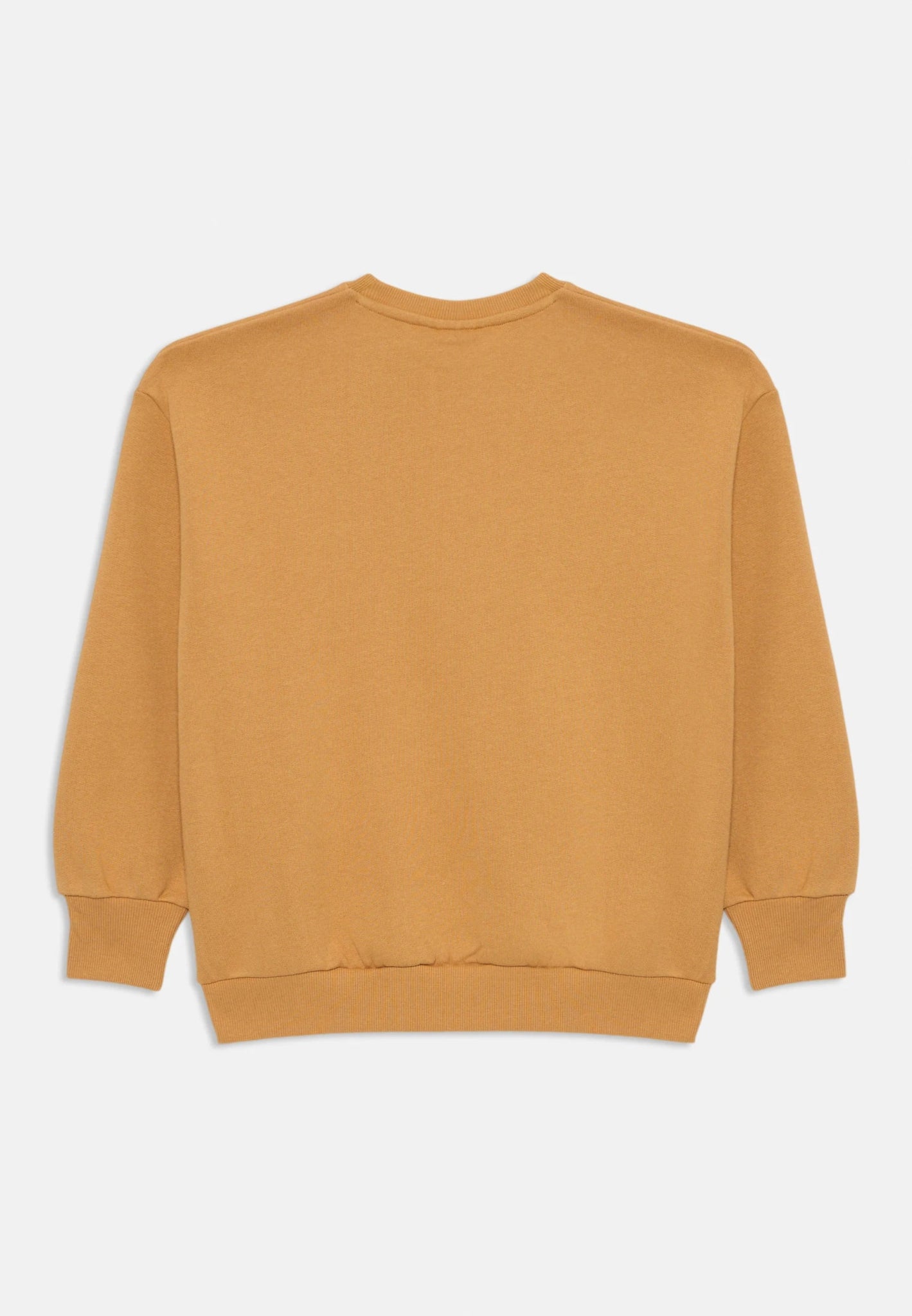 FELPA BEIGE CON DINOSAURO ROSSO MINI RODINI - Angel Luxury