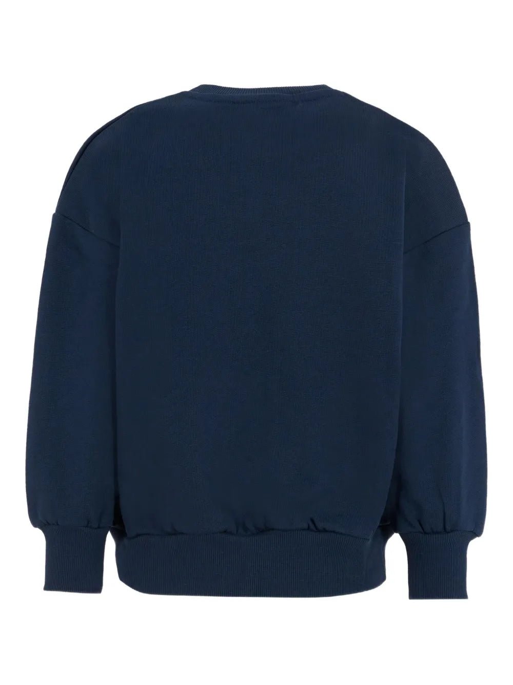 FELPA BLU CON STAMPA DINOSAURO MINI RODINI - Angel Luxury