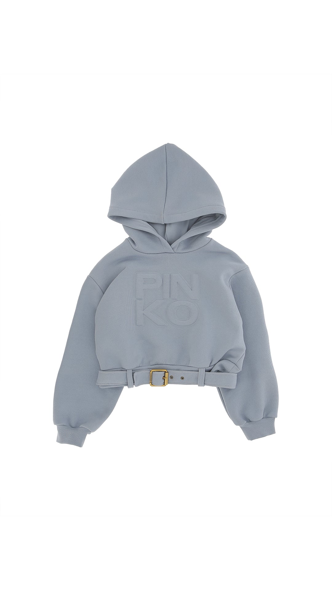 FELPA CON CAPPUCCIO ARDESIA PINKO - Angel Luxury